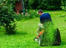 Kwikfynd Lawn Mowing
budgewoipeninsula