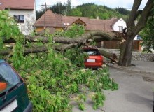 Kwikfynd Tree Cutting Services
budgewoipeninsula
